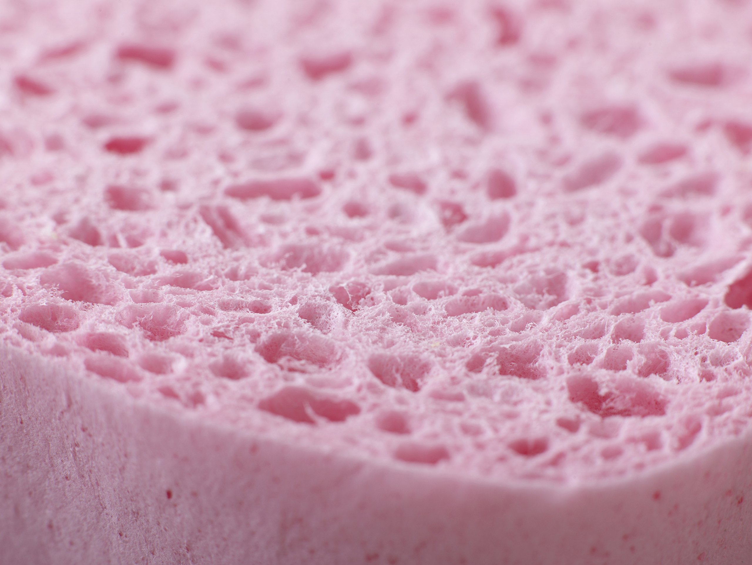 spontex-handy-sponge-allzweckschwamm-12er-pack-15-x-8-cm image 3