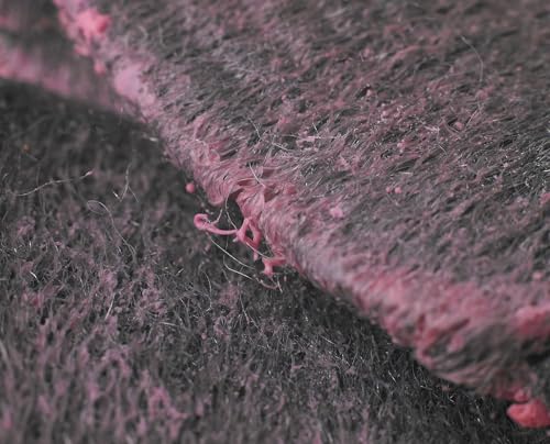spontex-seifenpads-stahlwolle-mit-seife-10-st-ck image 8