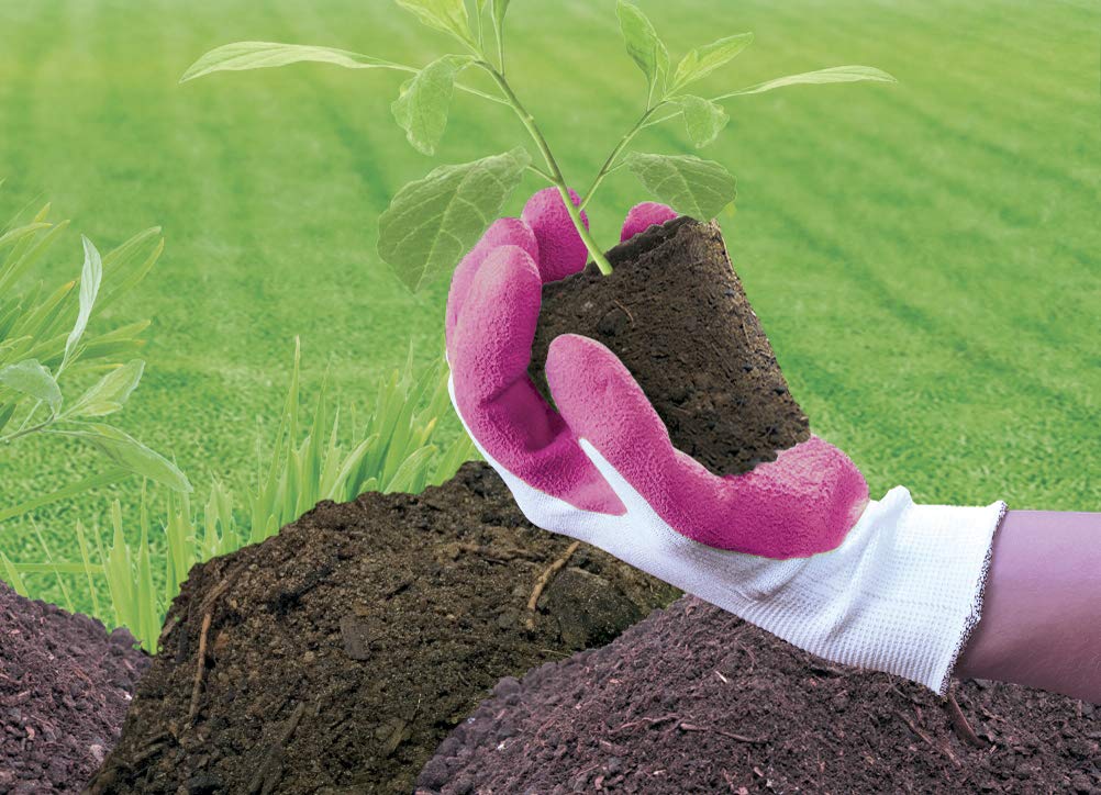spontex-lady-garden-gartenhandschuhe-damen-gr-e-s-bambus-viskose-mit-latexbesch- image 8