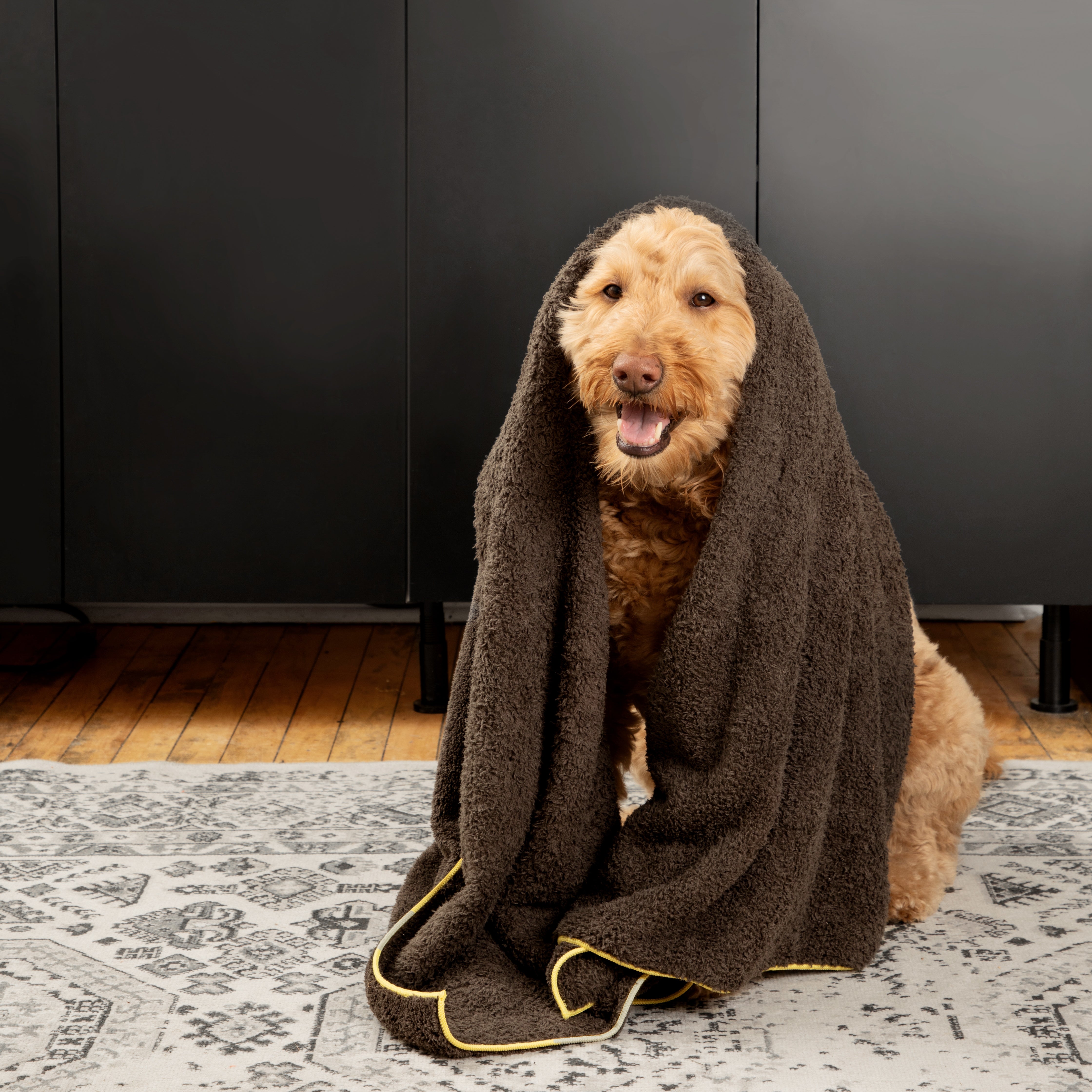 e-cloth-pet-cleaning-drying-towel-hundetrockentuch image 2