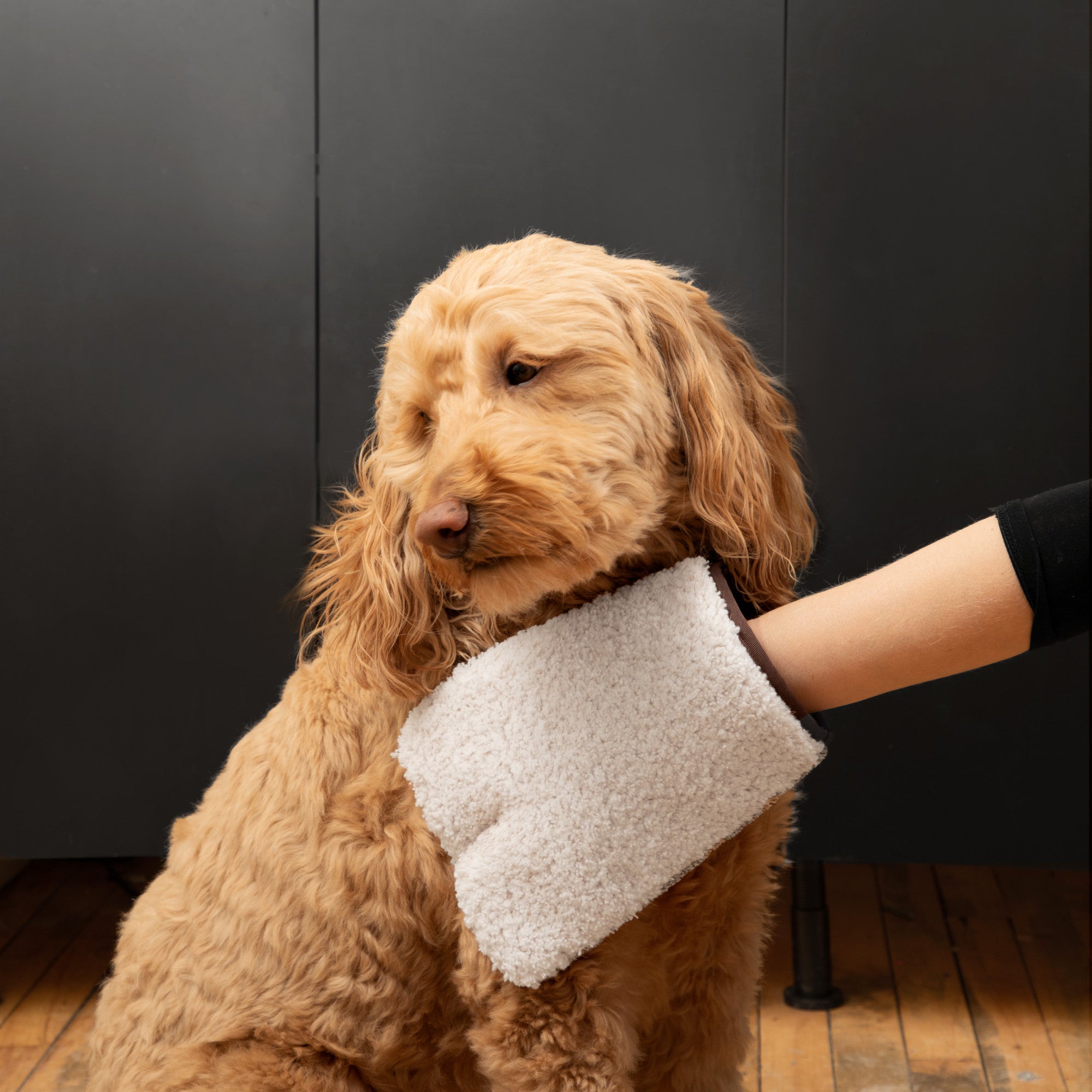 e-cloth-pet-grooming-massage-mitt-tierpflege-handschuh image 2