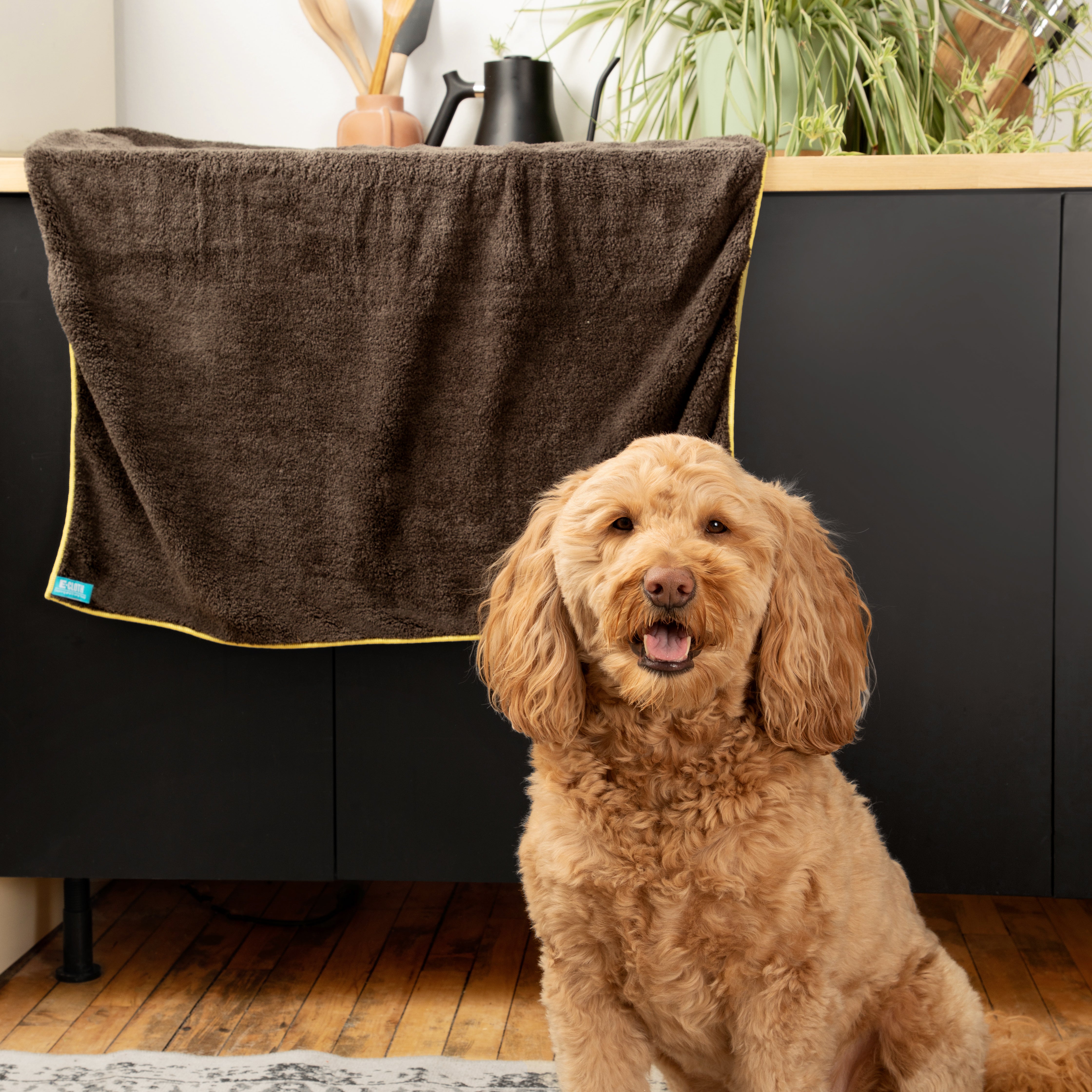 e-cloth-pet-cleaning-drying-towel-hundetrockentuch image 3