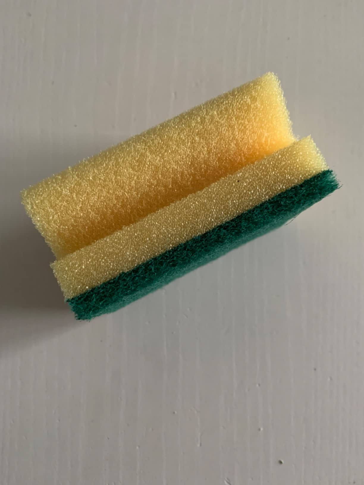 Mein Lieblingsschwamm