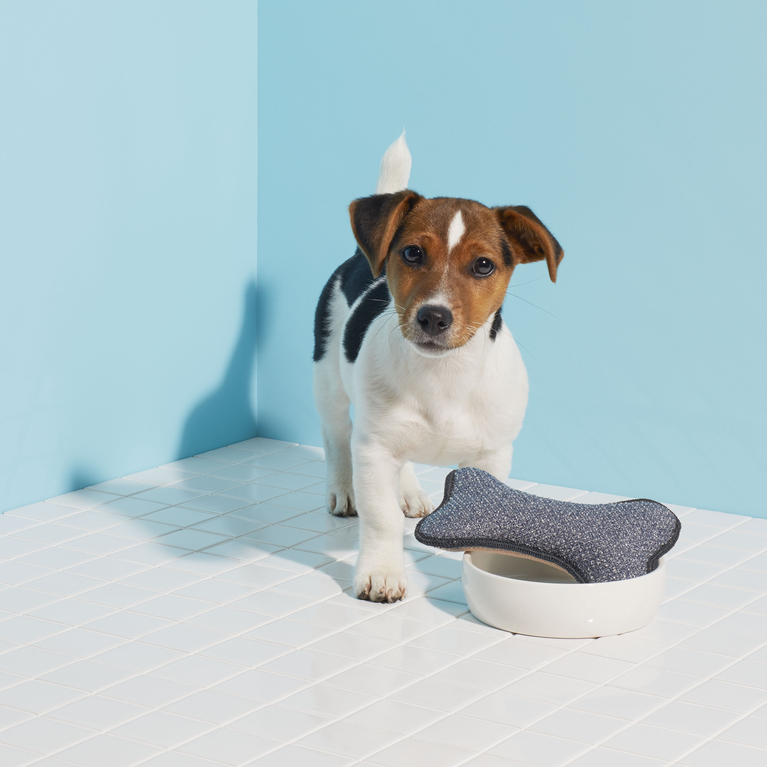 e-cloth-pet-bowl-scrubber-napf-schwamm-f-r-futter-und-wassern-pfe image 3